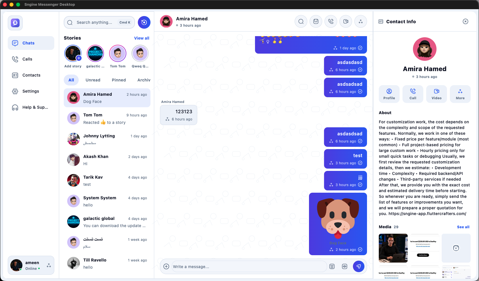 Sngine Pro Messenger Desktop (Windows / macOS / Linux) preview